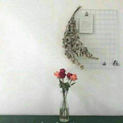 主公快跑腾讯版下载